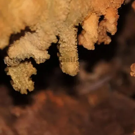 Giannakis' Filoxenia Сasa de vacaciones Filótion