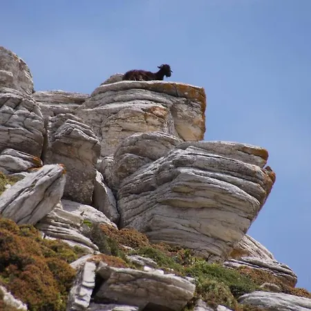 Giannakis' Filoxenia Сasa de vacaciones