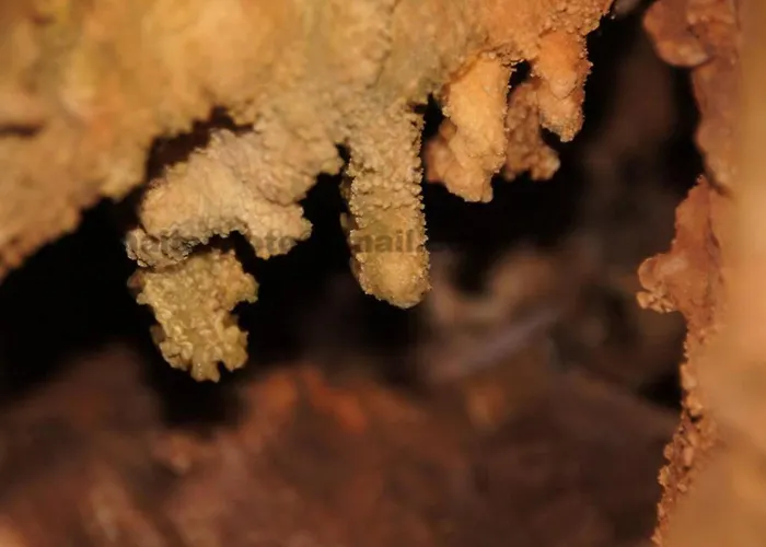 Giannakis' Filoxenia Nyaraló Filóti