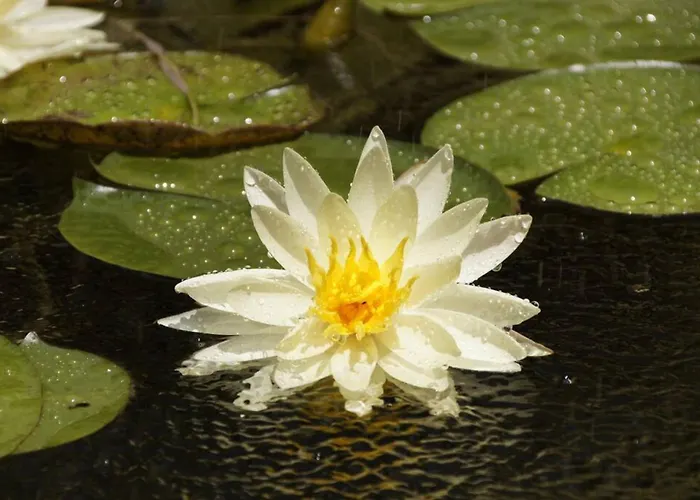 Nyaraló Giannakis' Filoxenia Filóti