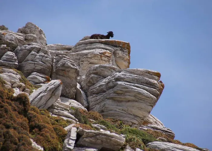 Giannakis' Filoxenia Holiday home